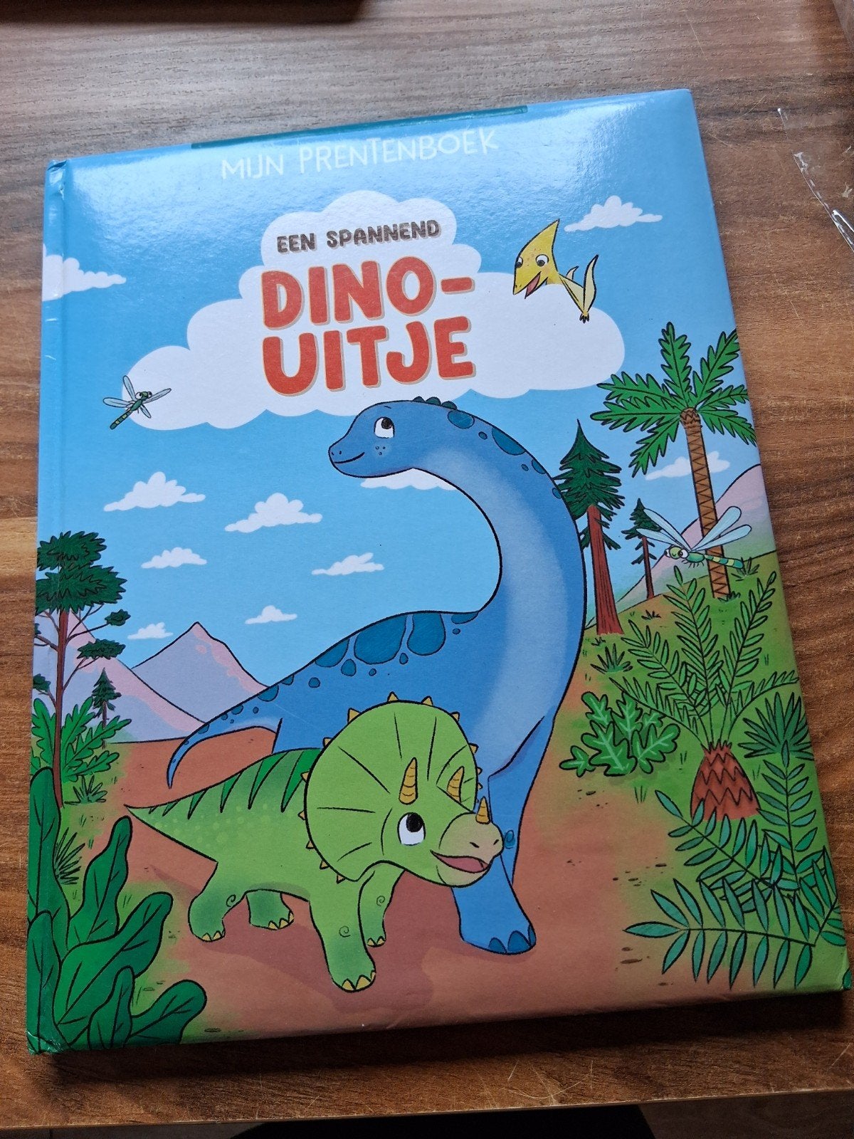 Dino uitje, Boeken, Kinderboeken | Baby's en Peuters, Ophalen of Verzenden, Zo goed als nieuw