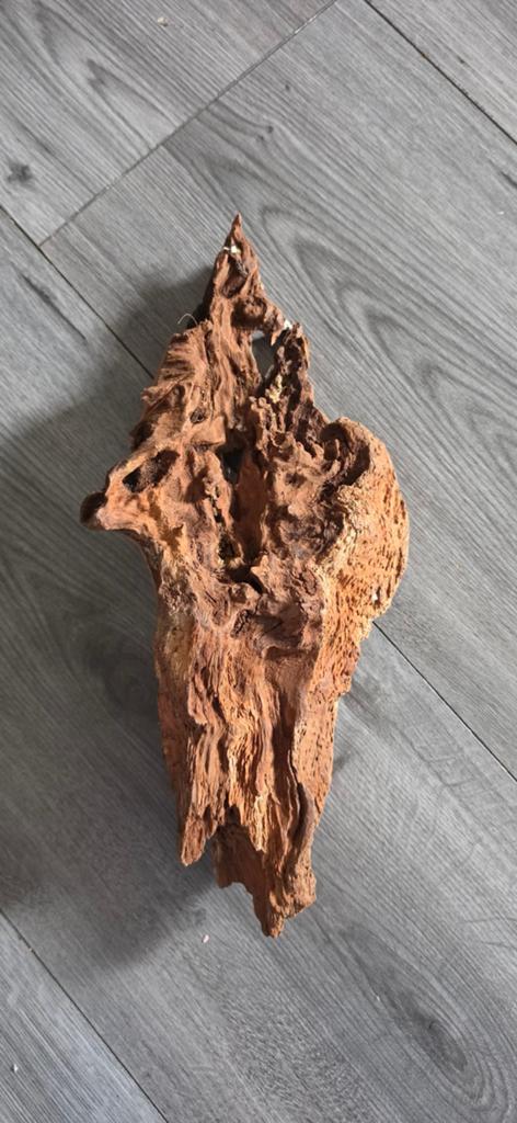 Aquarium/terrarium hout, Dieren en Toebehoren, Vissen | Aquaria en Toebehoren, Ophalen, Plant(en), Steen of Hout