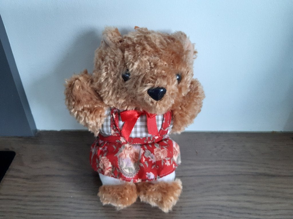bruin beertje met rokje, Gebruikt, Beer, Ophalen of Verzenden, Klein (minder dan 20 cm)