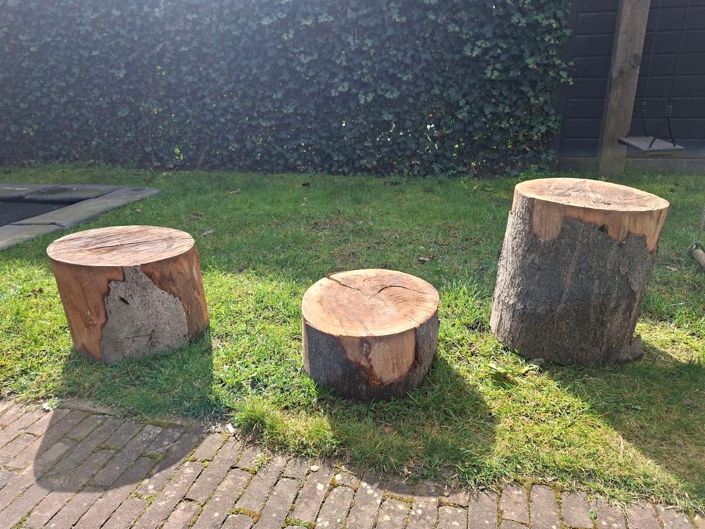 6 houten boomstammen, Ophalen, Overige houtsoorten, Minder dan 200 cm, Pallet