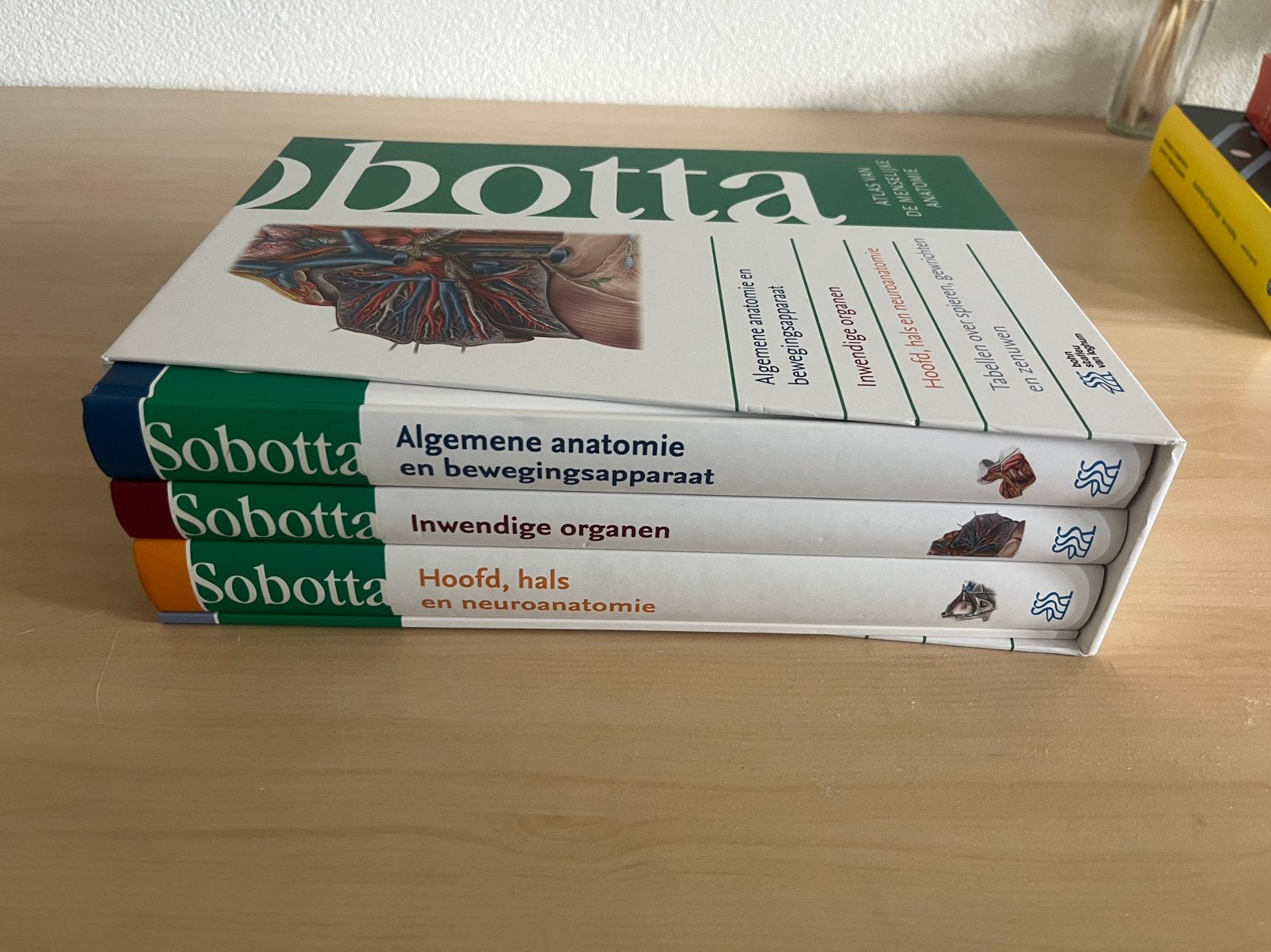 Set sobotta atlassen van de menselijke anatomie, Boeken, Ophalen of Verzenden, Beta, Zo goed als nieuw, Niet van toepassing