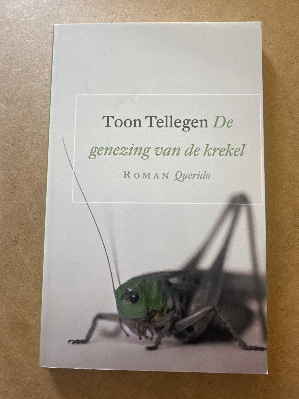 Toon Tellegen - De genezing van de krekel (Roman), Ophalen of Verzenden, Zo goed als nieuw, Nederland