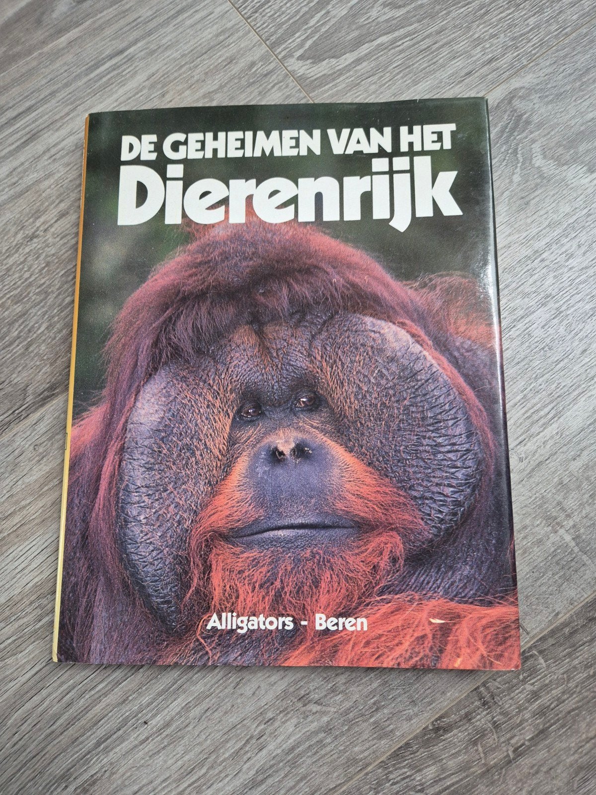 De Geheimen van het Dierenrijk: Alligators - Beren, Boeken, Ophalen of Verzenden, Zo goed als nieuw, Natuur algemeen, John Bonnet