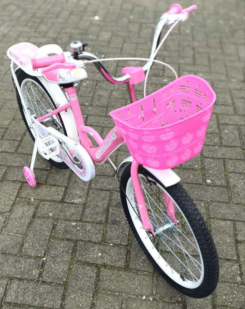 Nieuwe stoere meisjesfiets 20 inch (NIEUW IN DOOS), Fietsen en Brommers, Fietsen | Meisjes, 26 inch of meer, Gebruikt, Meisjesfiets