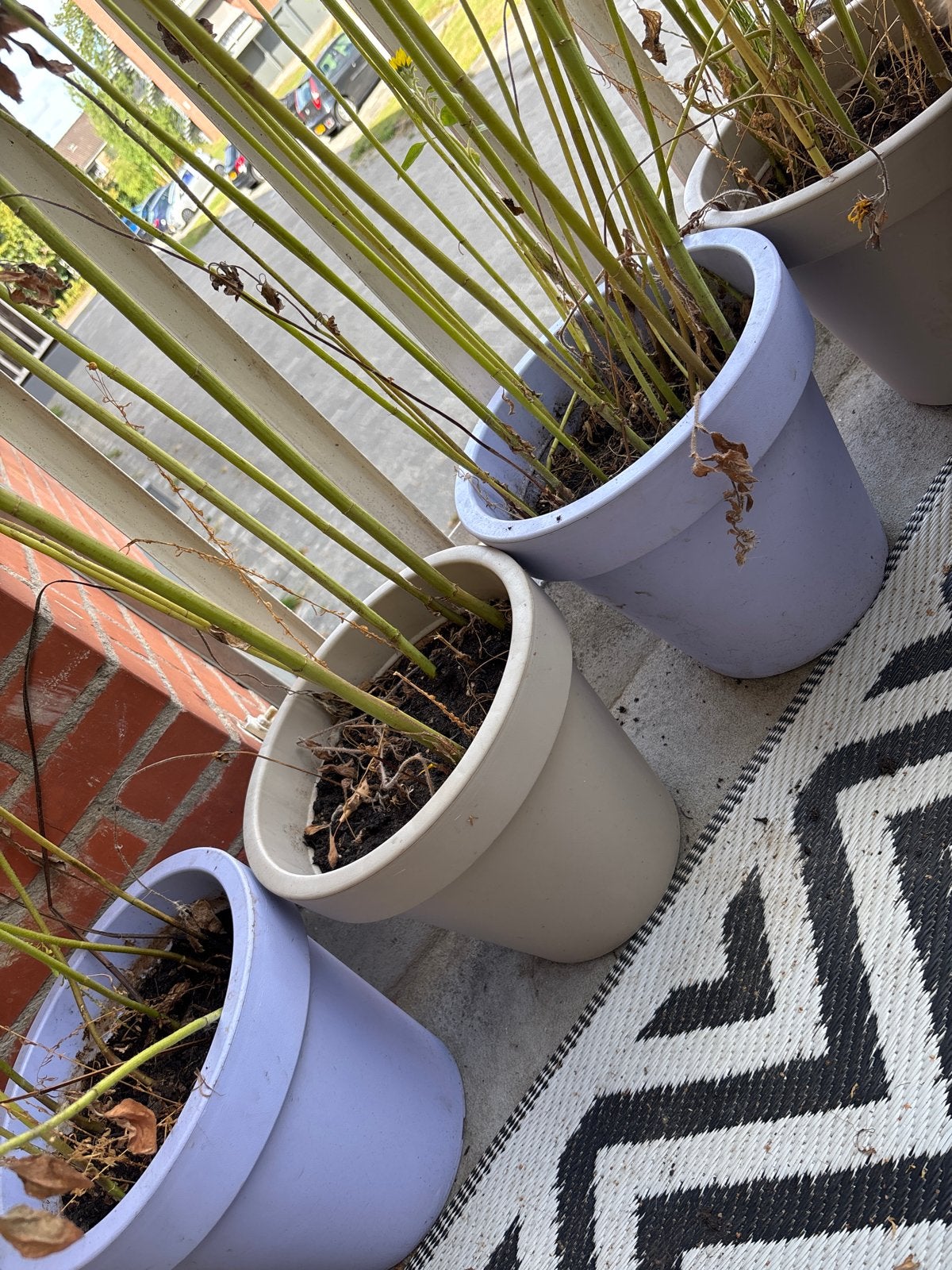 4 plastic bloempotten: 2x pastel paars, 2x taupe, Ophalen, Kunststof, Gebruikt, Rond