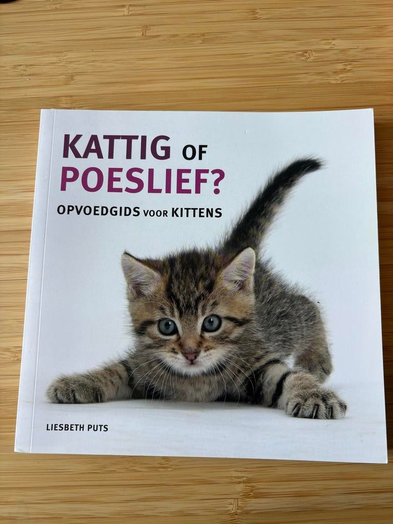 Kattig of Poeslief? Opvoedgids voor Kittens - Liesbeth Puts, Ophalen of Verzenden, Zo goed als nieuw, Katten