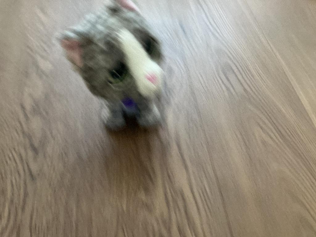 Kat op batterijen, Ophalen, Gebruikt, Interactief