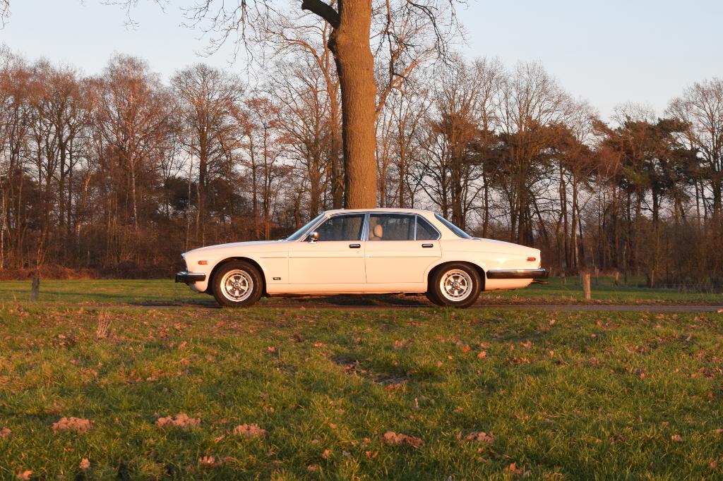 Jaguar XJ S3 4.2 Automatic – Tudor White – 88.444mls – Y1982, Auto's, Jaguar, Automaat, Achterwielaandrijving, Beige, Wit