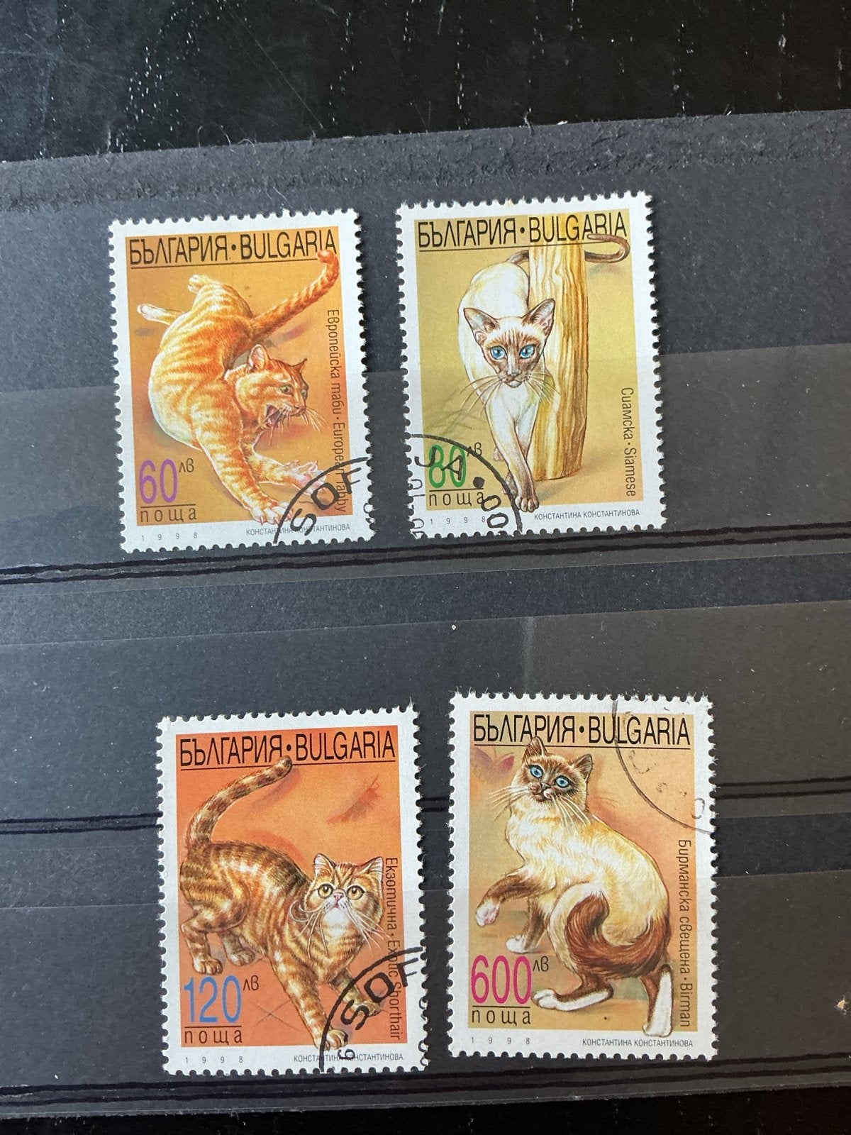 Katzen Cats Chats Bulgarije - Katten (1998), Verzenden, Gestempeld