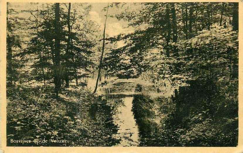 380-931-007 Veluwe, Verzenden, Voor 1920, Gelderland