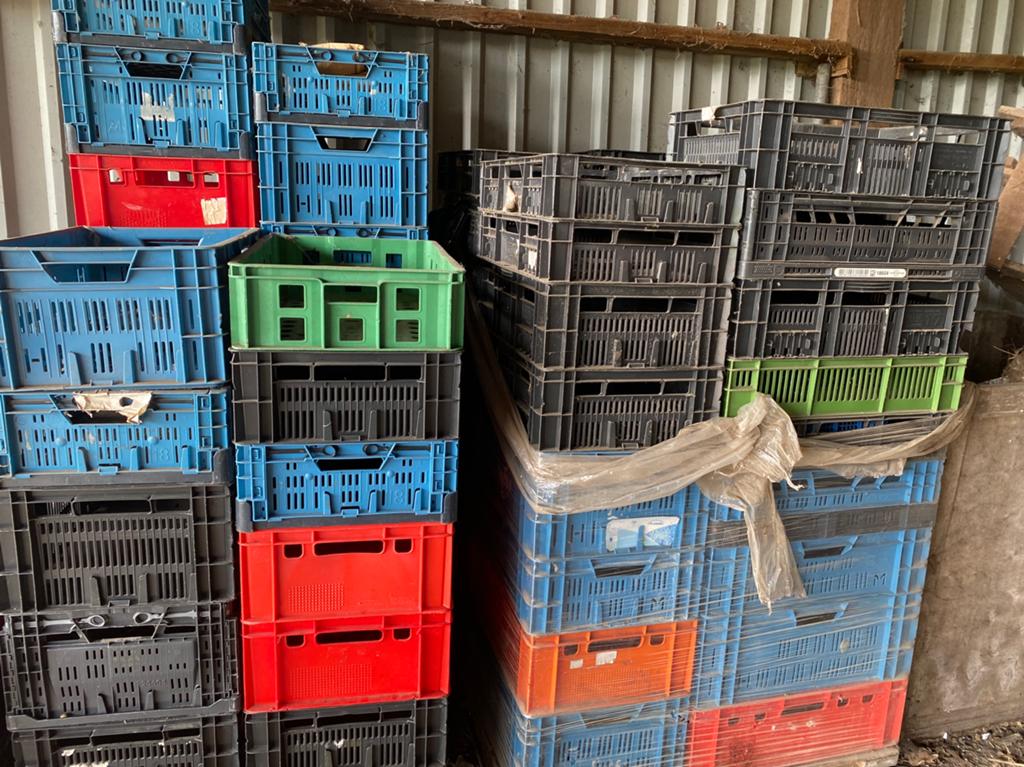 Diverse kratten, diverse maten, ongeveer 70 stuks, Ophalen, Gebruikt, 40 tot 60 cm, 50 tot 75 cm