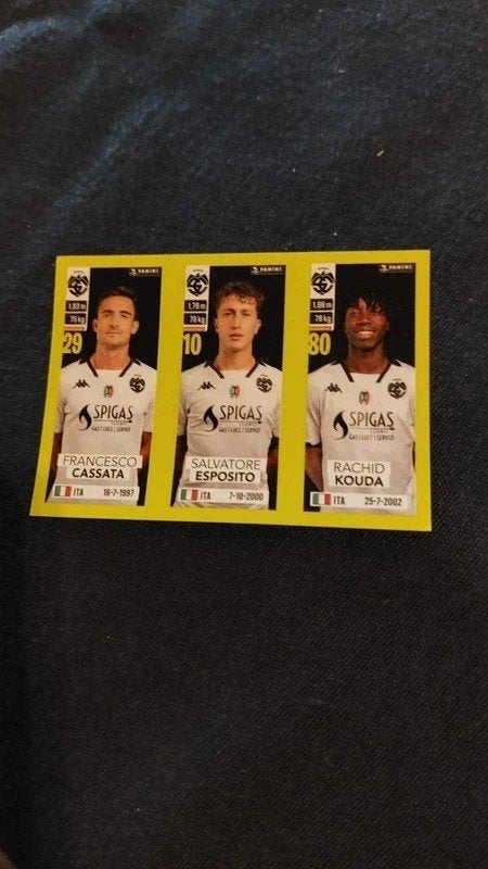 Panini / Sticker / Spezia Calcio / 2023-2024, Verzenden, Nieuw, Buitenlandse clubs, Poster, Plaatje of Sticker