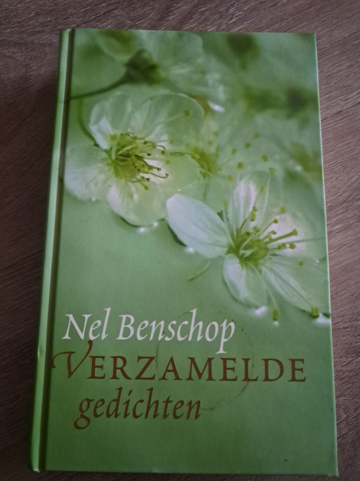 Z3 Nel Benschop - Verzamelde gedichten, Boeken, Gedichten en Poëzie, Ophalen of Verzenden, Zo goed als nieuw, Nel Benschop, Eén auteur