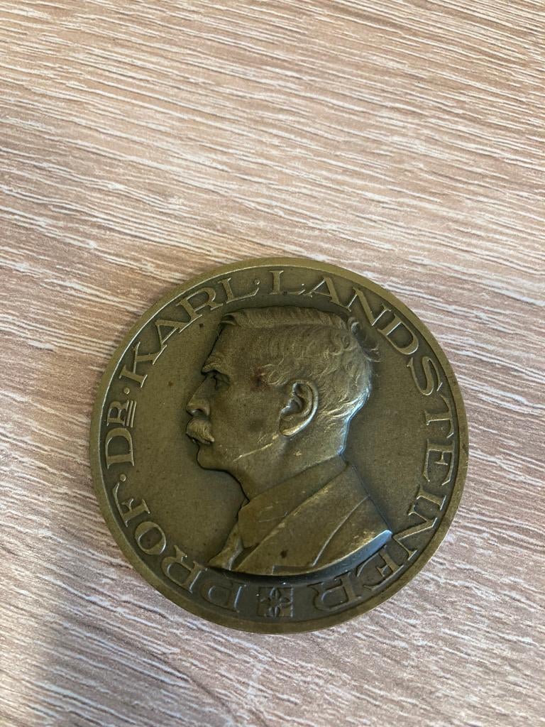 oude rode kruis penning Prof. Dr. Karl Landsteiner, Postzegels en Munten, Penningen en Medailles, Ophalen of Verzenden, Overige materialen