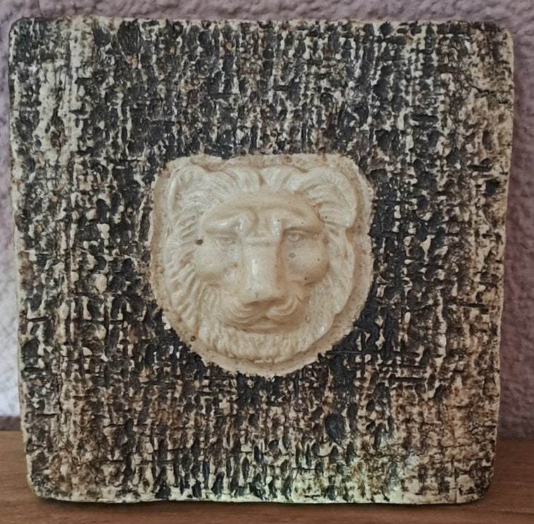 Vintage wanddecoratie met leeuwenkop reliëf, Ophalen of Verzenden