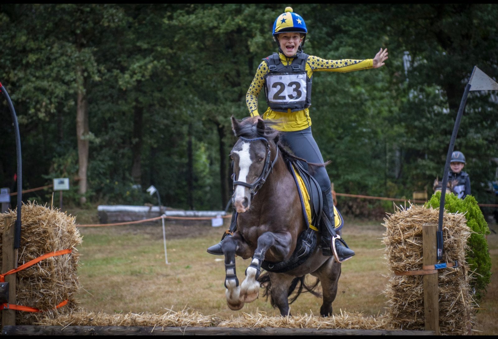 Te koop: allround (bixie) B-pony Lady, Dieren en Toebehoren, Pony's, Merrie, 11 jaar of ouder