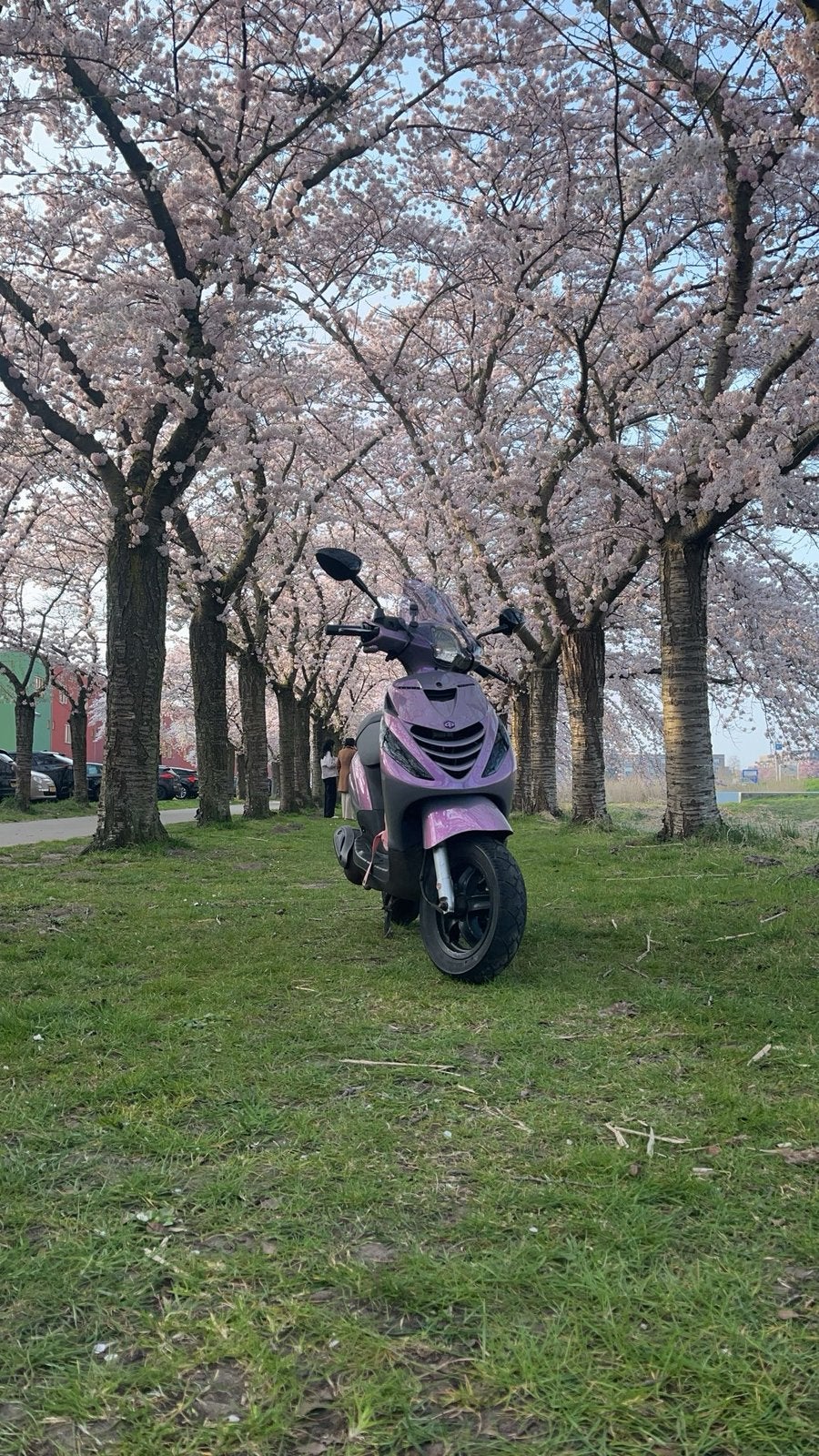 Piaggio zip roze/paars 80cc, Ophalen, Maximaal 45 km/u, Zip, Zo goed als nieuw