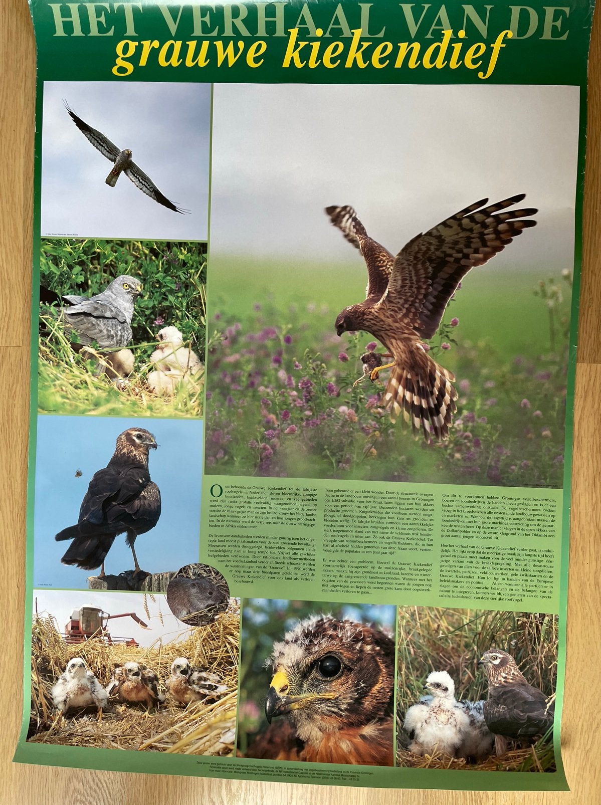 De Grauwe Kiekendief ( het verhaal van …), Ophalen of Verzenden, Gebruikt, Dier of Natuur