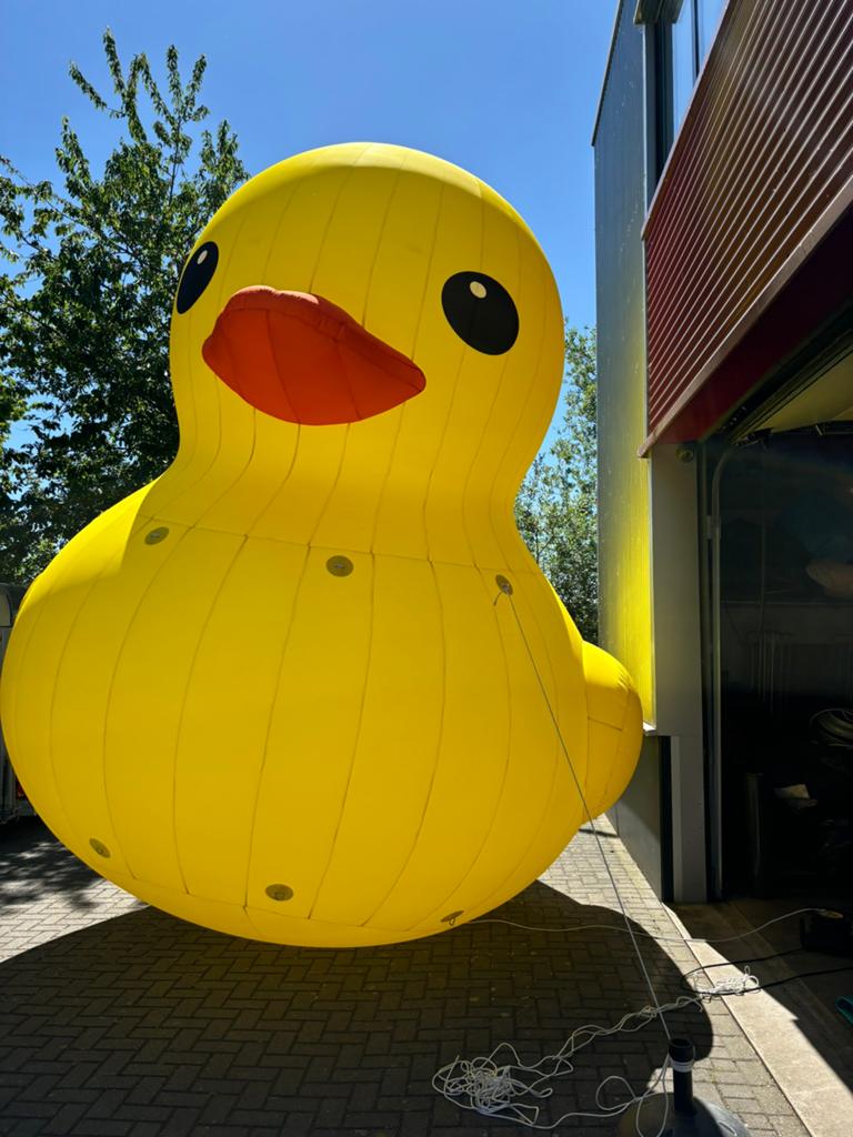 XL Badeend te Huur voor Duckrace Badeendrace of  Evenementen, Ophalen of Verzenden, Gebruikt, Overige
