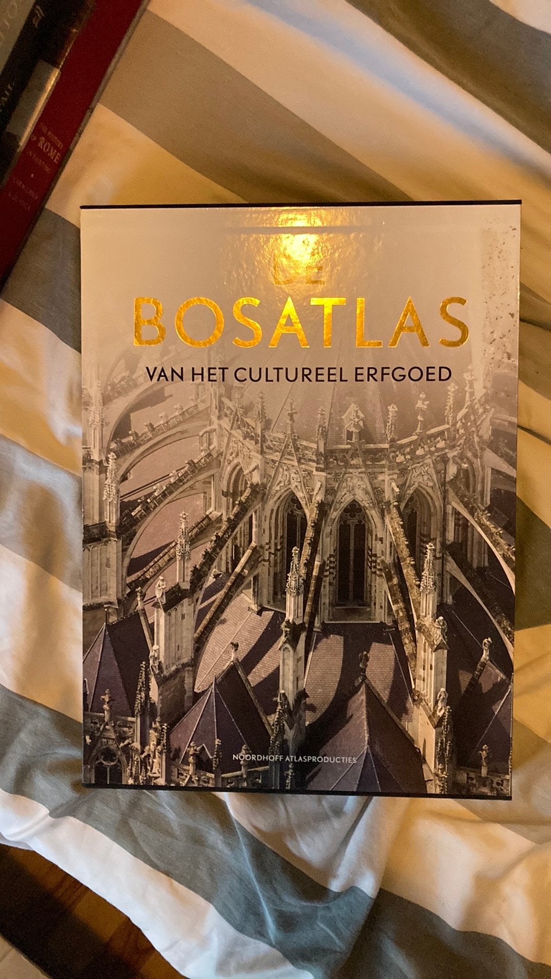 De bosatlas van het cultureel erfgoed, Ophalen of Verzenden, Zo goed als nieuw