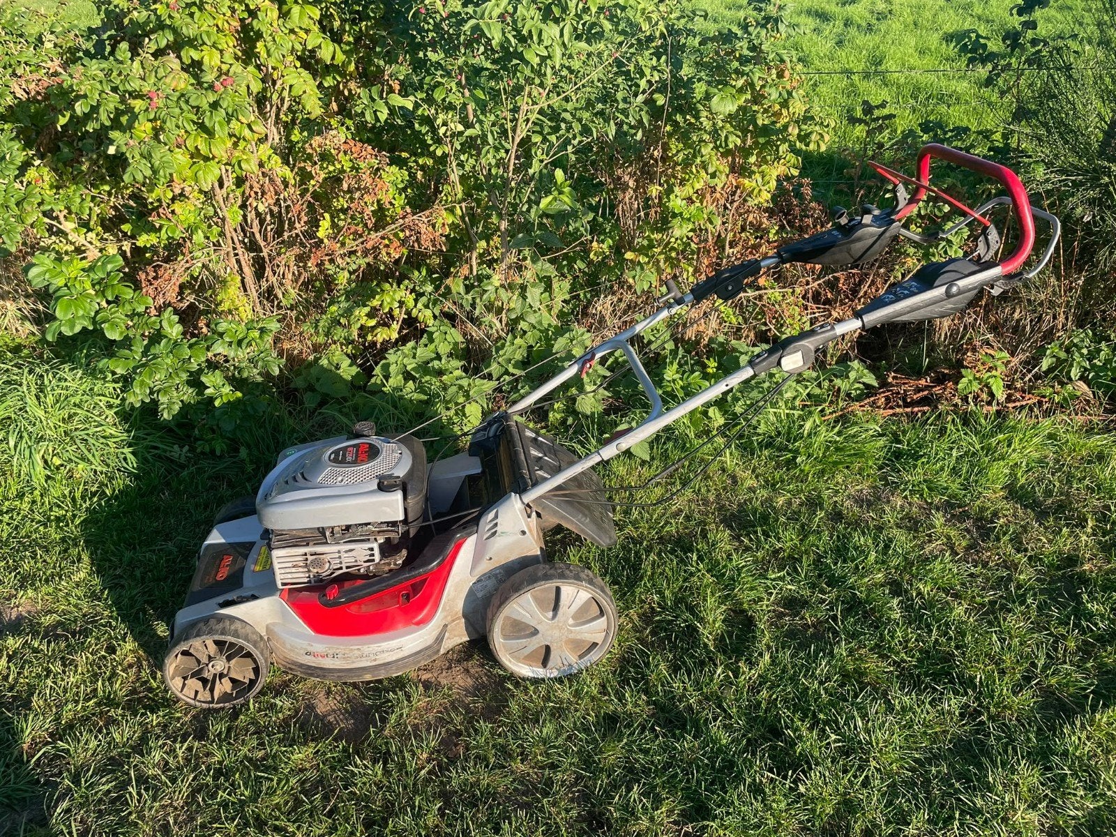 ALKO Mulchmaaier met opvangbak en aandrijving, Cirkelmaaier, AL-KO, Gebruikt, Mulchfunctie