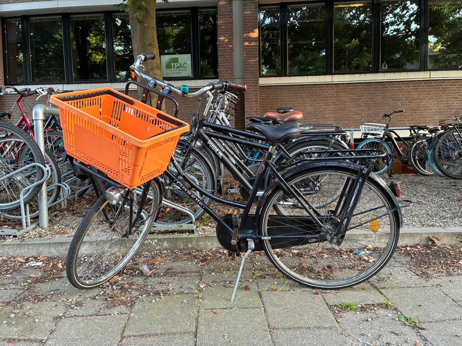 Dutch City Bike with Large Basket – Ready to Ride, Ophalen, Terugtraprem, 1 kind, Gazelle