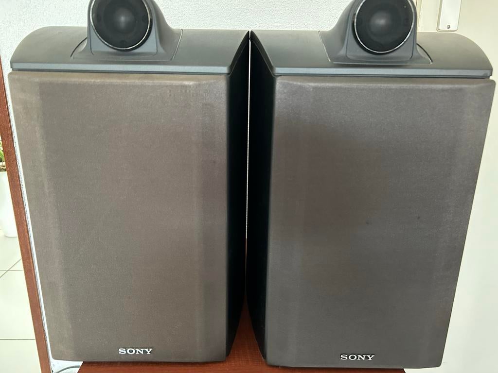 Sony SS-X30ED Speakers, Ophalen, Gebruikt, Sony, 120 watt of meer