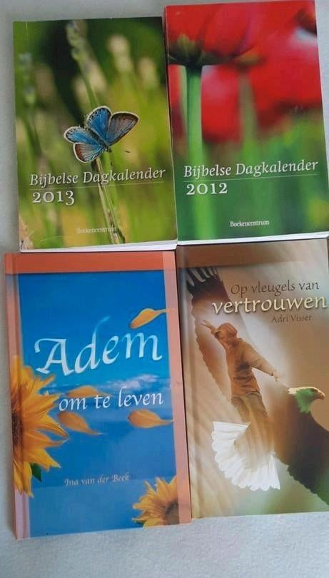 Diverse religieuze boeken in nieuwstaat, Verzenden, Nieuw, Ina van der Beek, Adri Visser, Robert A. Schuller, Christendom | Katholiek