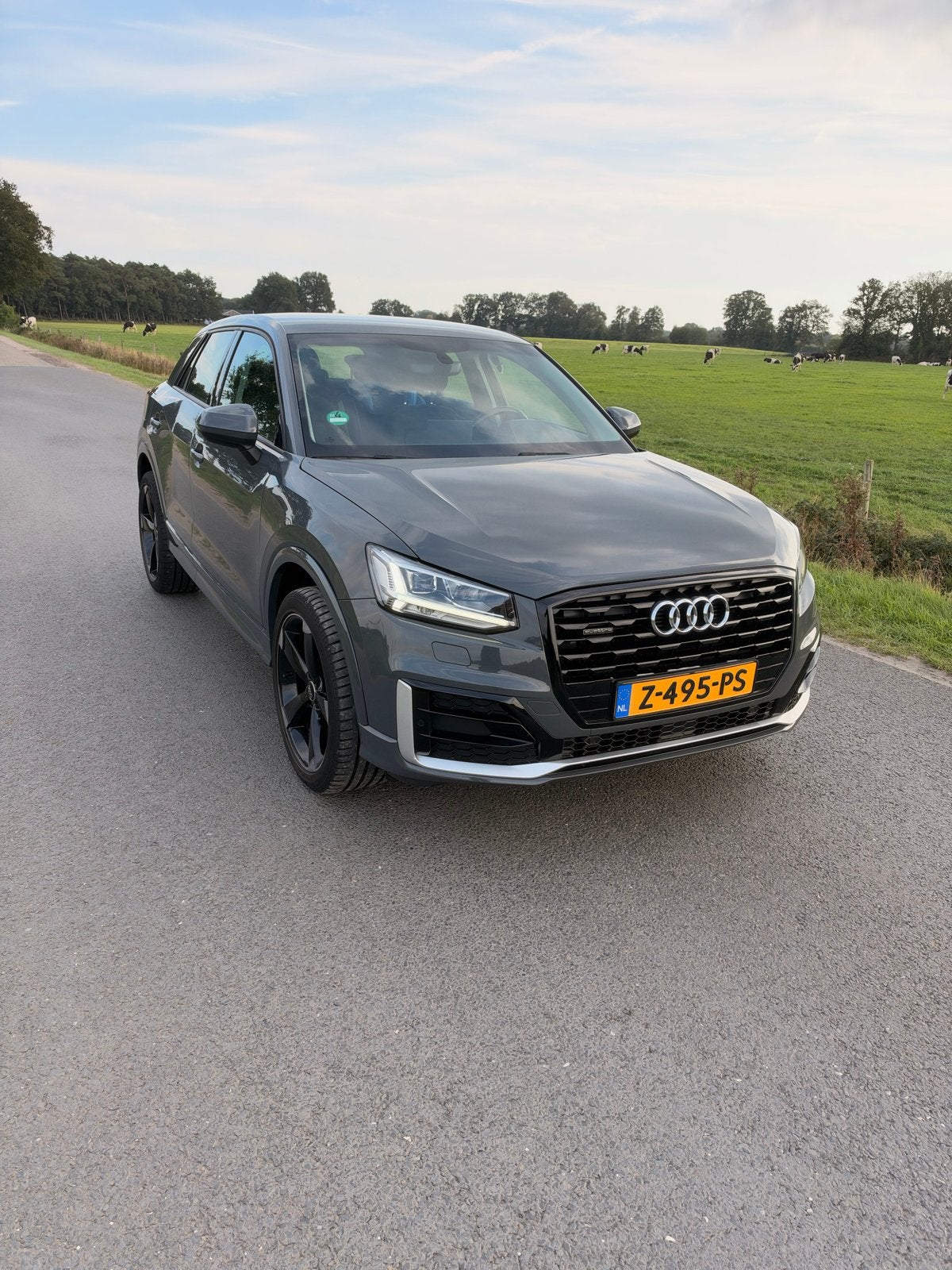 Audi Q2 2.0 Tfsi 190pk S Tronic Quattro 2019 Grijs, Auto's, Stof, Q2, 1984 cc, 75 €/maand