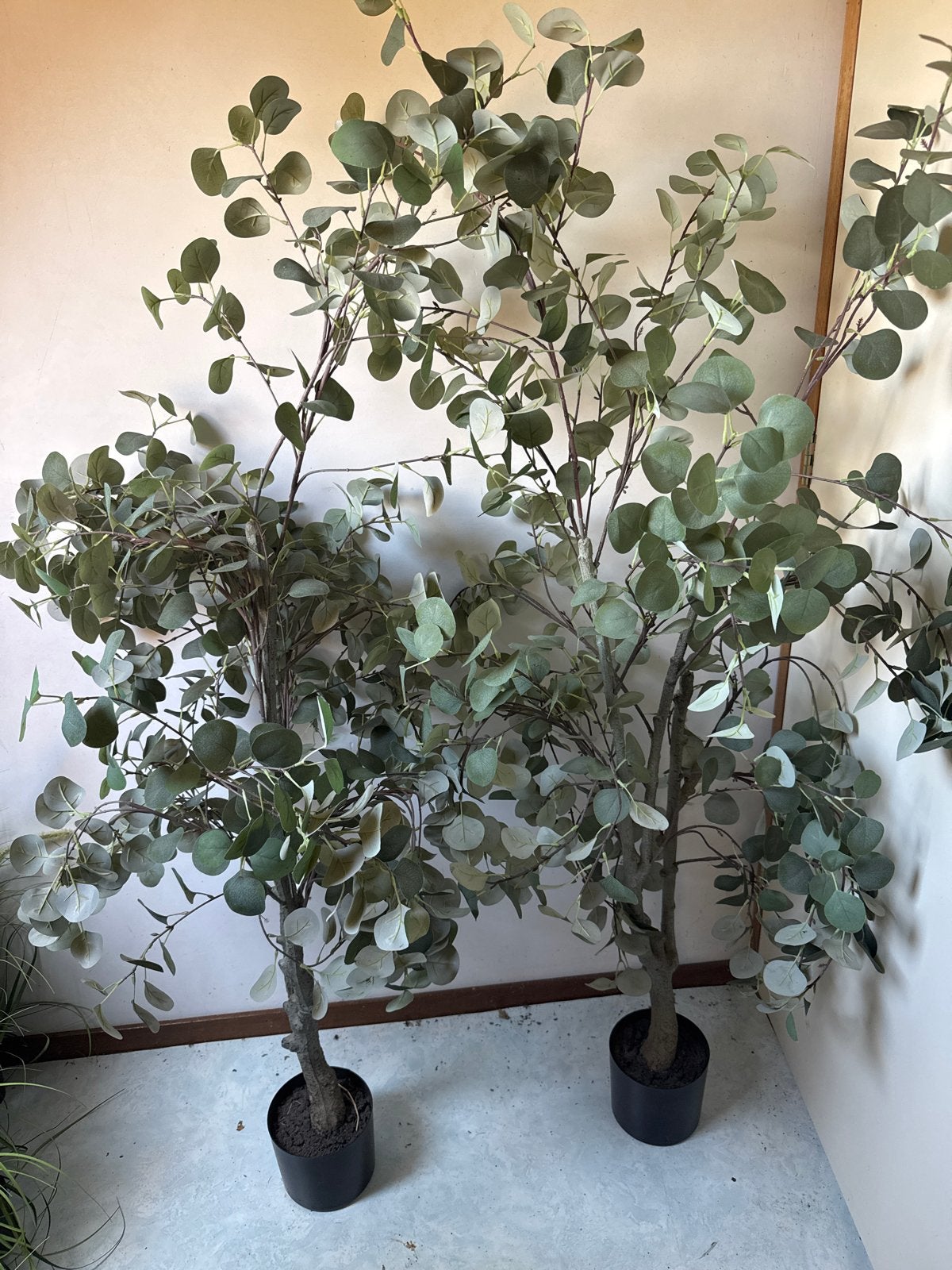 Set van 2 Kunst Eucalyptus Bomen - Realistisch & Onderhoudsv, Binnen, Groen, Kunstplant, Ophalen of Verzenden
