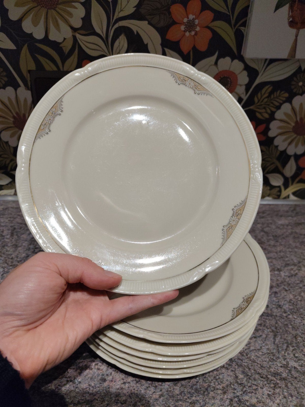 Set van 7 vintage Reichenbacher Bavaria ontbijt borden, Ophalen