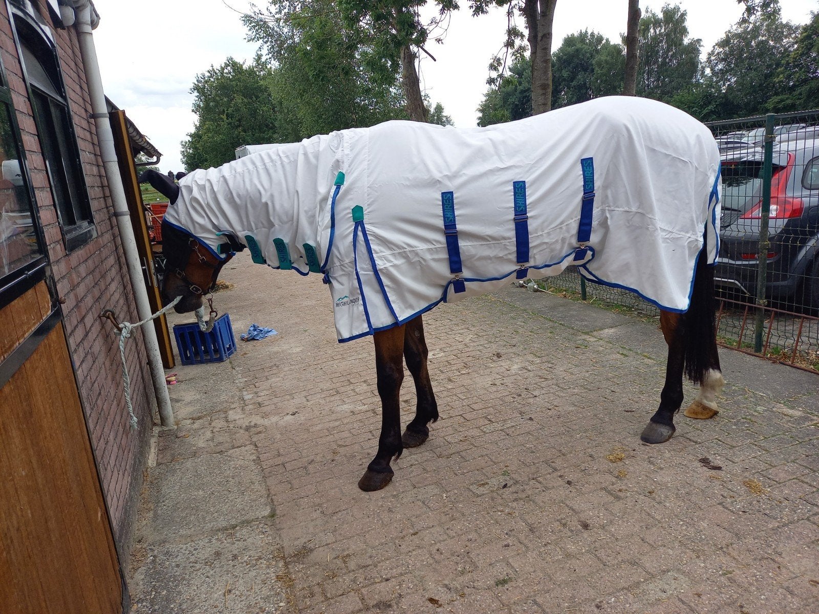 Shires Highlander sweet itch combo vliegendeken, Dieren en Toebehoren, Paarden en Pony's | Dekens en Dekjes, Ophalen of Verzenden
