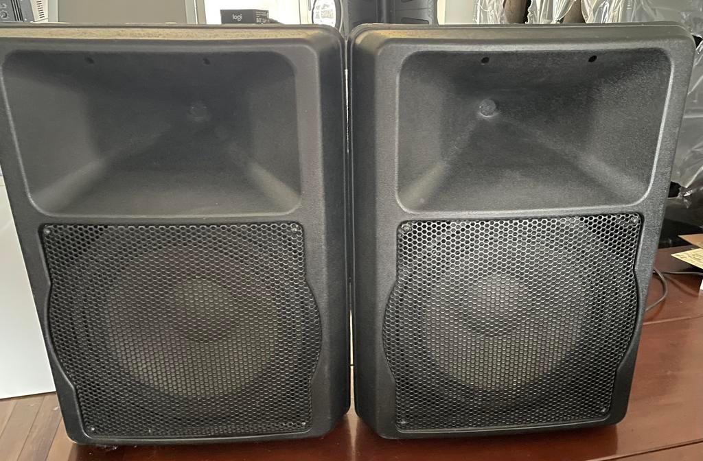 Speakers actief 12”, Audio, Tv en Foto, Luidsprekers, Zo goed als nieuw, Front, Rear of Stereo speakers, 120 watt of meer, Overige merken