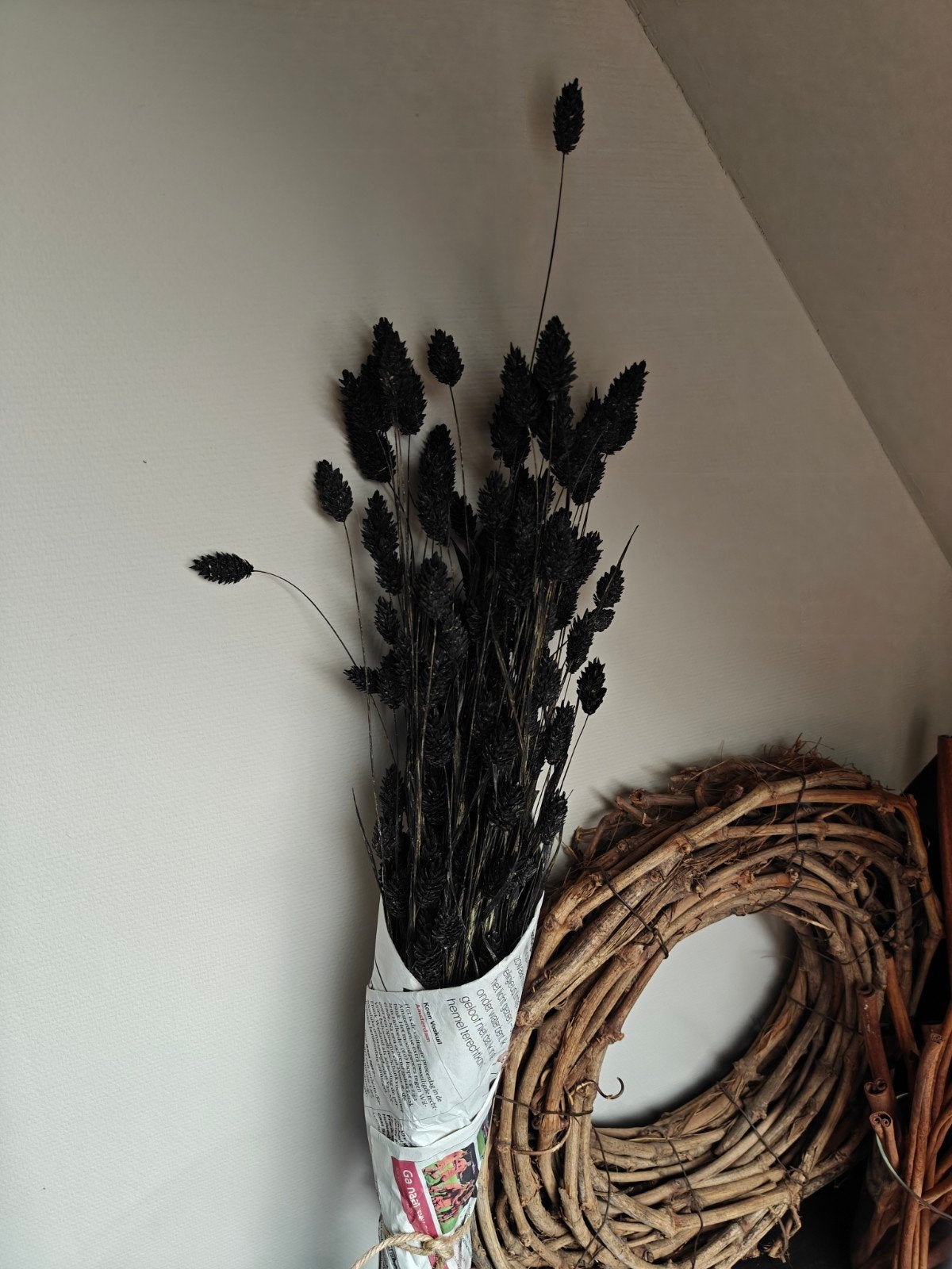 Droogbloemen diverse soorten, Ophalen of Verzenden, Nieuw