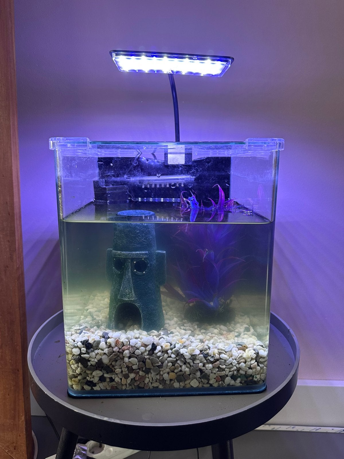 Cube aquarium 15ltr, Ophalen, Gebruikt, Inclusief toebehoren, Dennerle