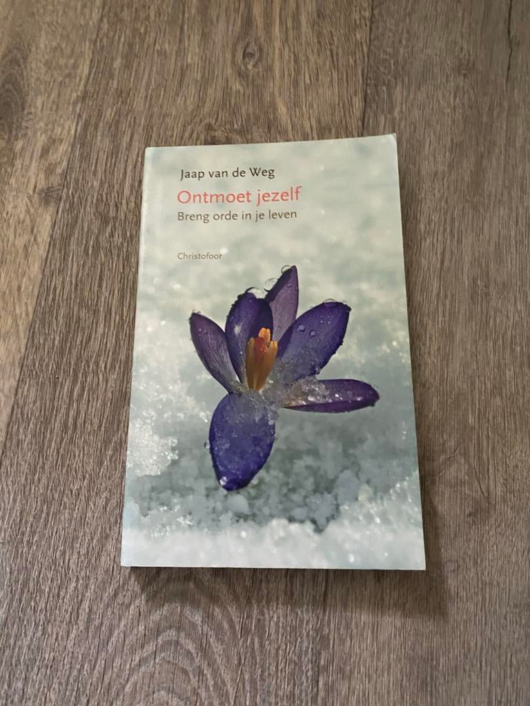 Ontmoet jezelf - Breng orde in je leven, Boeken, Overige Boeken, Gelezen, Ophalen of Verzenden