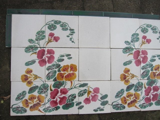 315x45cm Wandtegels prachtige afbeelding Oost-Indische kers, Ophalen