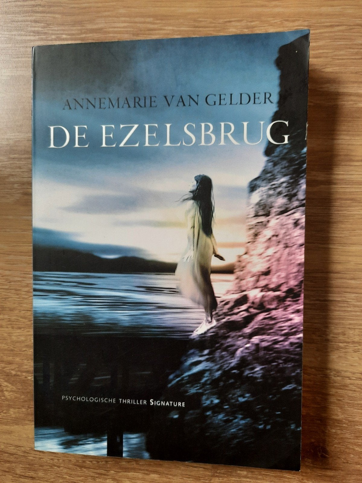 Annemarie van Gelder- DE EZELSBRUG, Ophalen of Verzenden, Zo goed als nieuw, Annemarie van Gelder