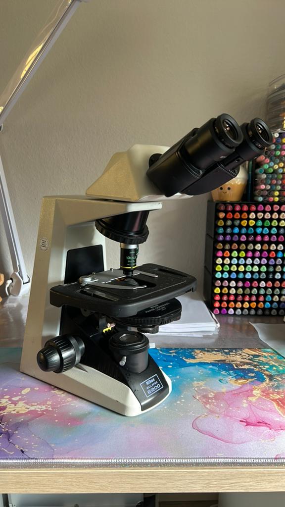 Nikon E200 fase microscoop, Ophalen, Gebruikt, Minder dan 400x, Biologische microscoop