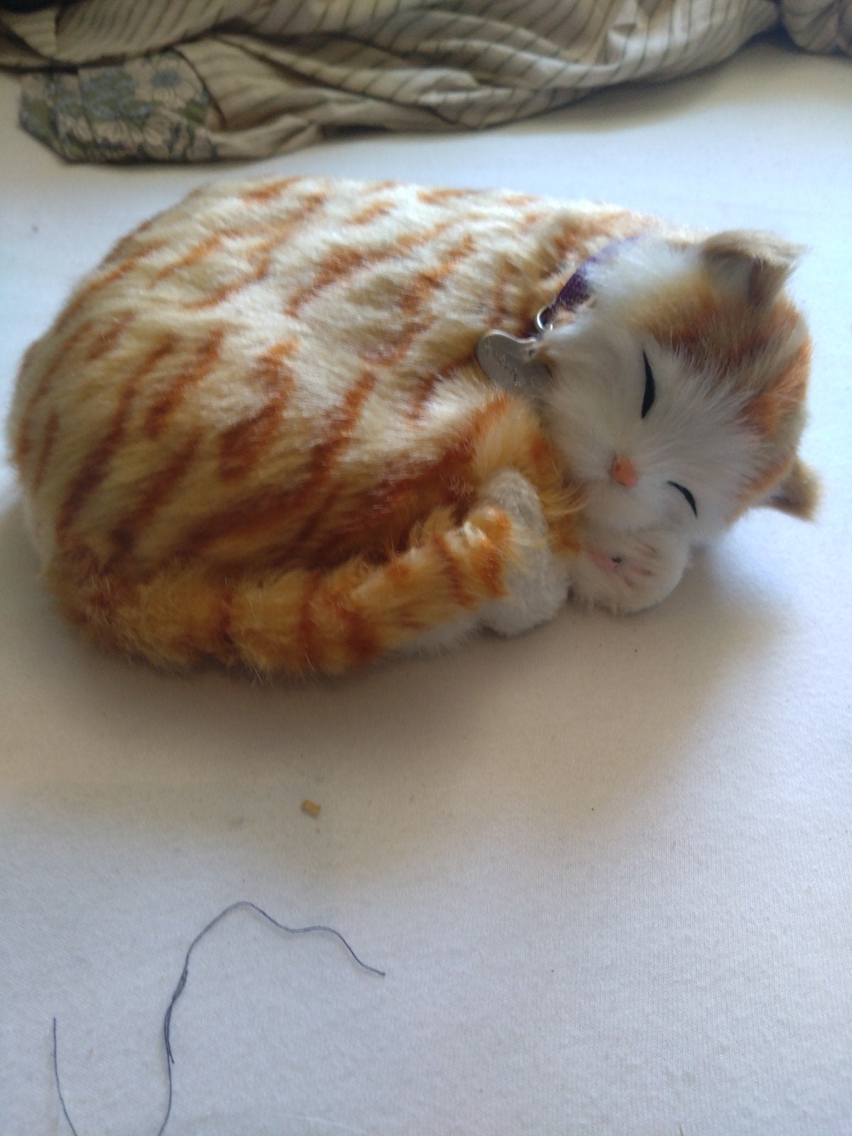 Knuffel perfect petzz kat, Ophalen