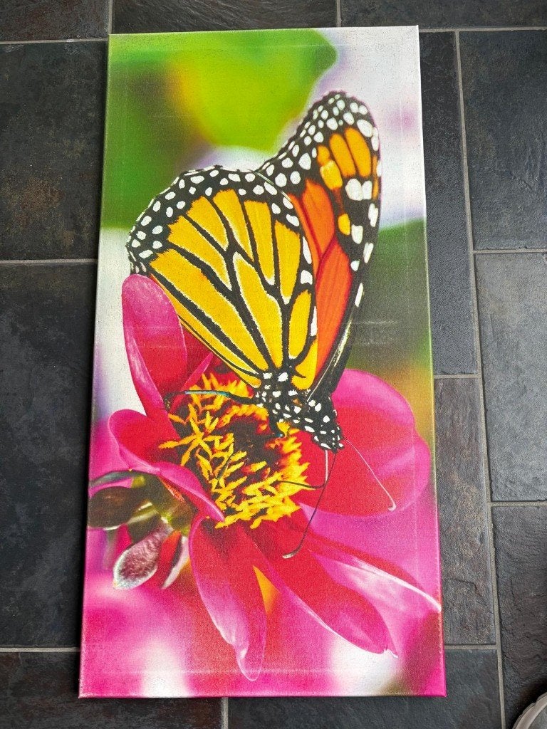 Canvas Schilderij - Vlinder op Roze Bloem (80 x 40 cm), Minder dan 50 cm, Gebruikt, Ophalen of Verzenden, Schilderij