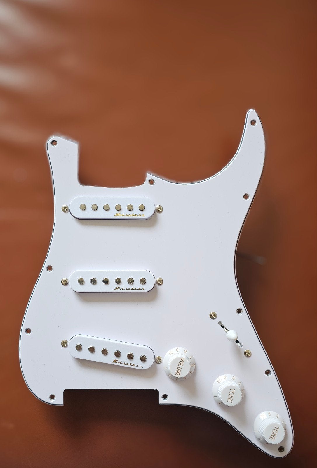 Loaded pickguard (voorgemonteerde slagplaat) - nieuwstaat, Ophalen of Verzenden, Nieuw, Elektrische gitaar