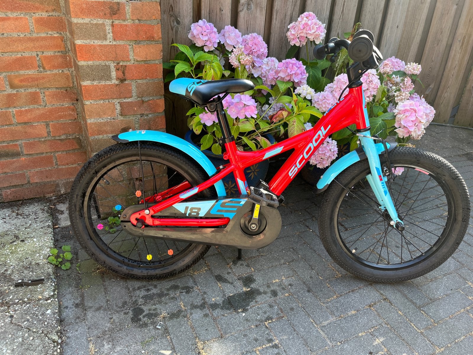 SCOOL Kinderfiets 24 inch - Rood/Blauw, Ophalen, Gebruikt, Terugtraprem, 20 inch of meer