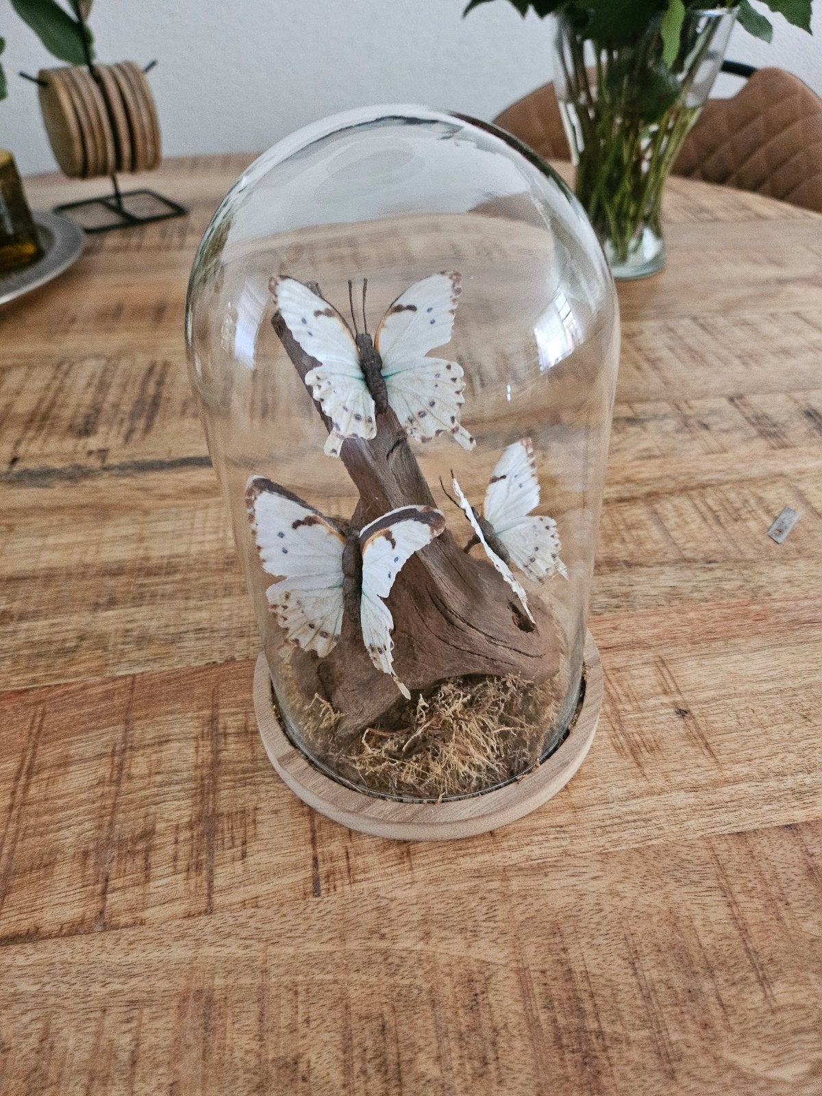 Glazen kelk met vlinder decor - 22 cm hoog, Ophalen, Zo goed als nieuw, Bruin, Hout