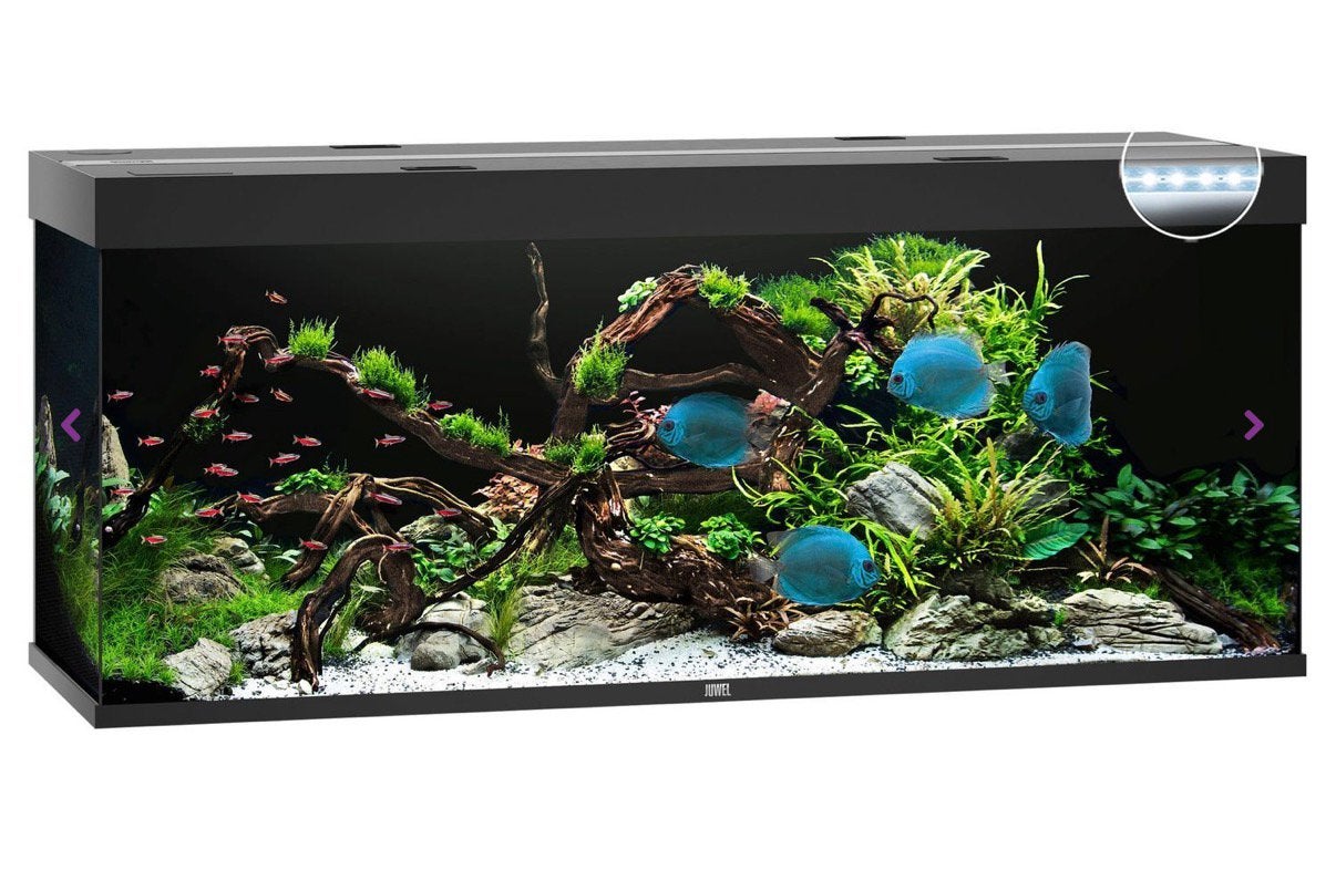Juwel aquarium 120cm 45/45/, Ophalen, Zo goed als nieuw, Leeg aquarium