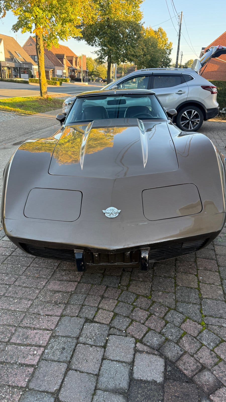 Corvette c3 te koop, foto 11