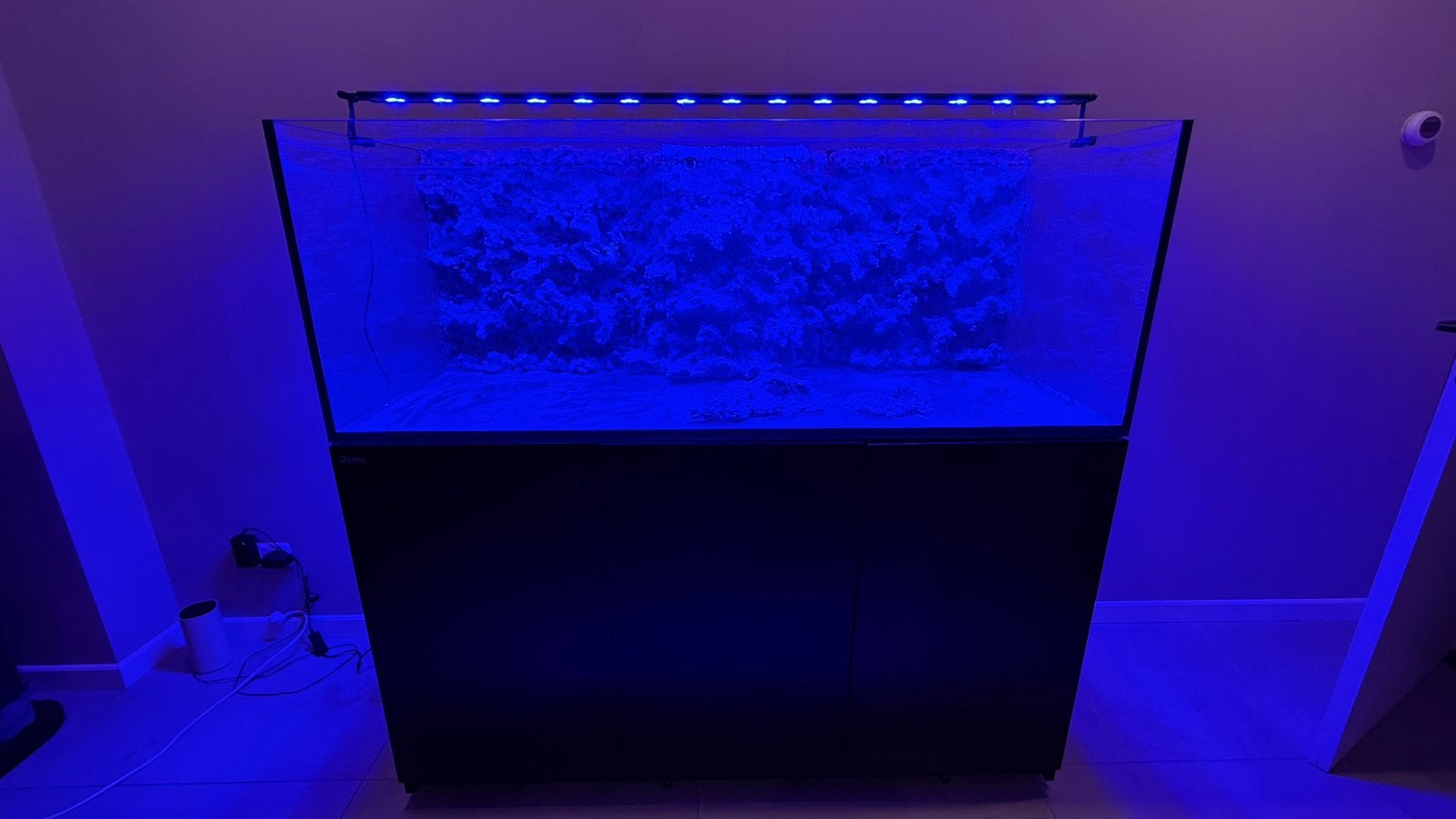 Red sea reefer 525, Dieren en Toebehoren, Ophalen, Red Sea, Gevuld zeewateraquarium, Inclusief toebehoren