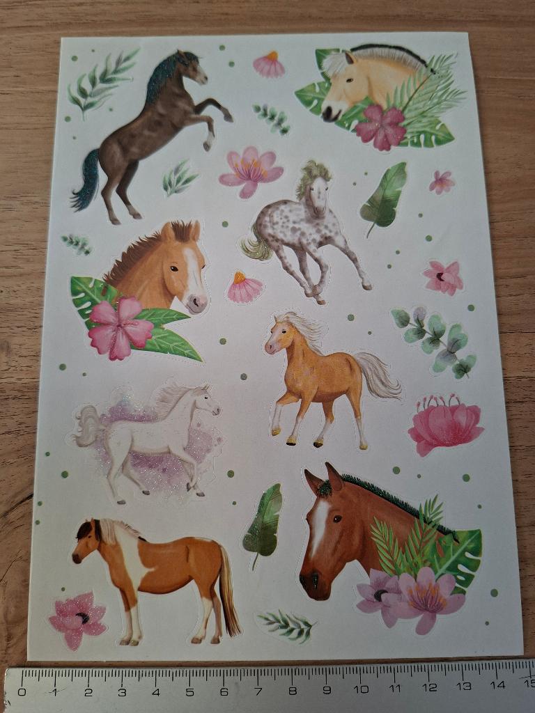 Stickervel paarden, Ophalen of Verzenden, Zo goed als nieuw, Dier en Natuur