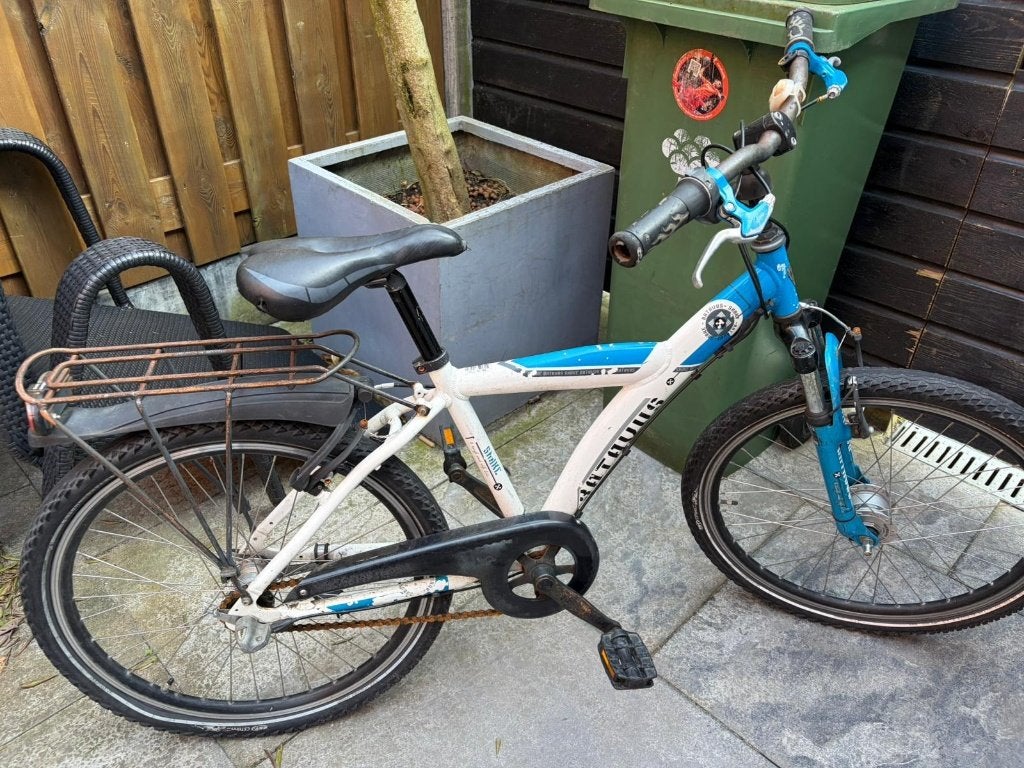 batavius snake 24 inch, Fietsen en Brommers, Ophalen, Gebruikt, 20 inch of meer, Batavus