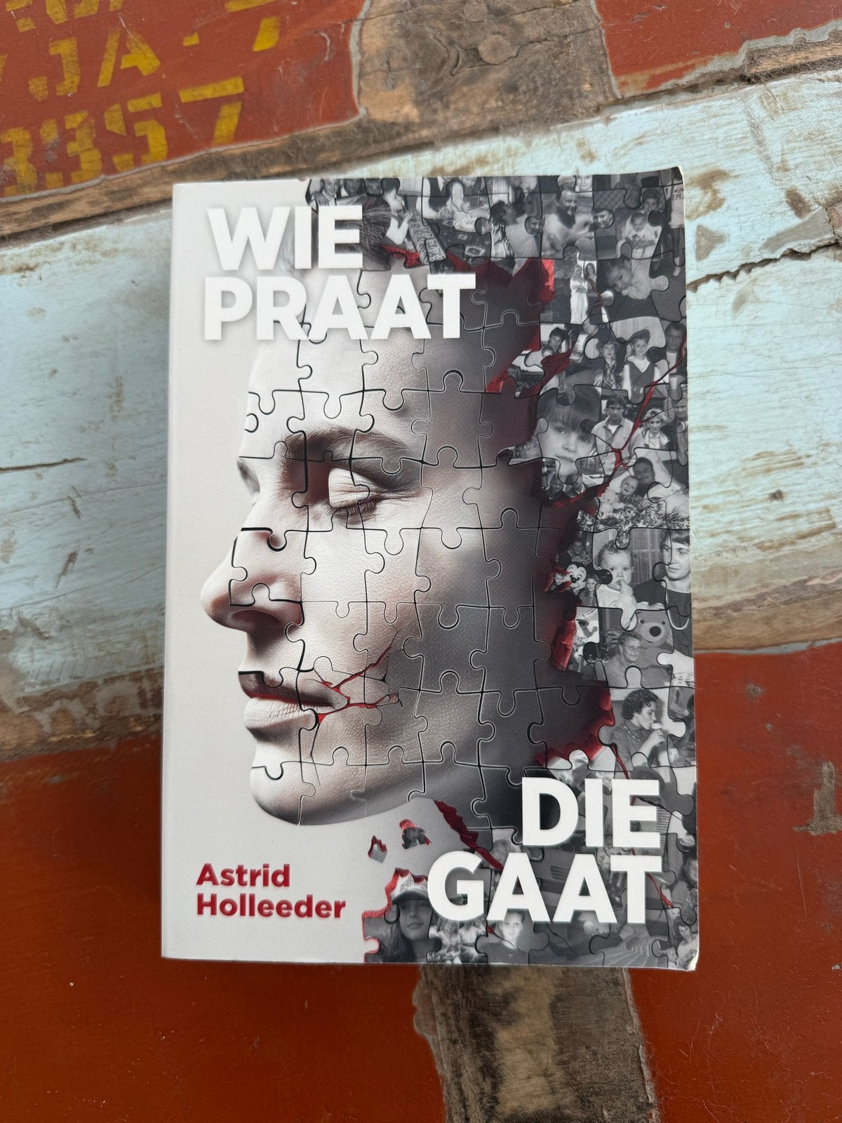 Wie Praat Die Gaat - Astrid Holleeder (Zo goed als nieuw), Ophalen of Verzenden, Zo goed als nieuw, Nederland
